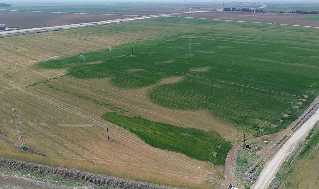 Kuraklığın etkisiyle yarıkların oluştuğu Amik Ovası için bilim adamından kritik uyarı