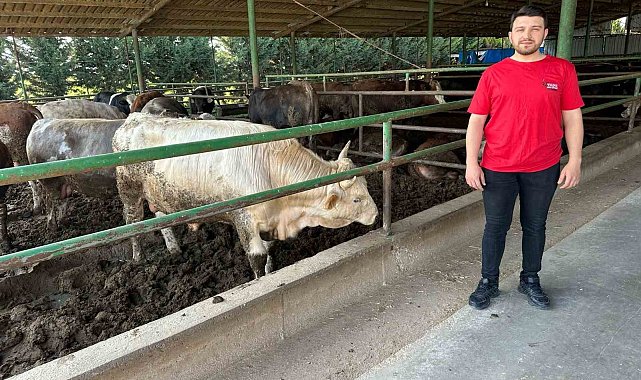 Kurbanlık fiyatlarında geçen yıla oranla büyük değişiklik yok