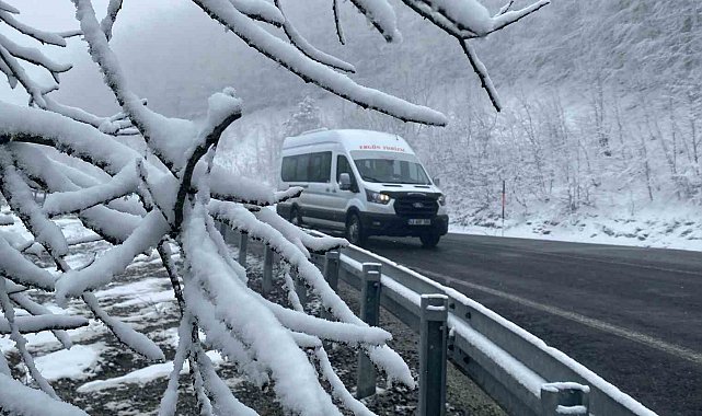Kütahya'nın Domaniç Dağı'nda kar ve sis etkili oluyor