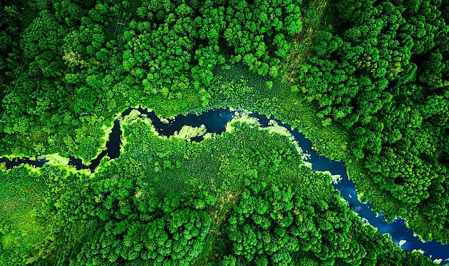 L'Oréal'in 200 milyon euroluk fonları Türk sivil toplum kuruluşlarını bekliyor