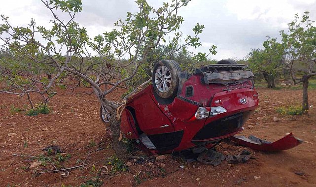 Lastiği patlayan otomobil fıstık bahçesine uçtu: 1 ölü, 2 yaralı