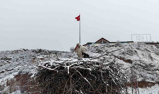 Leyleklere kar sürprizi