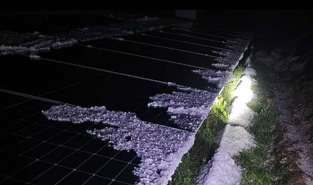 Malatya'da dolu yağışı kayısı bahçelerine zarar verdi