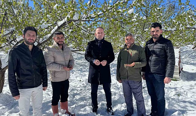 Malatya'da kayısı da don felaketi
