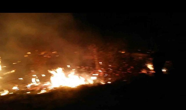 Malatya'da sazlık yangını