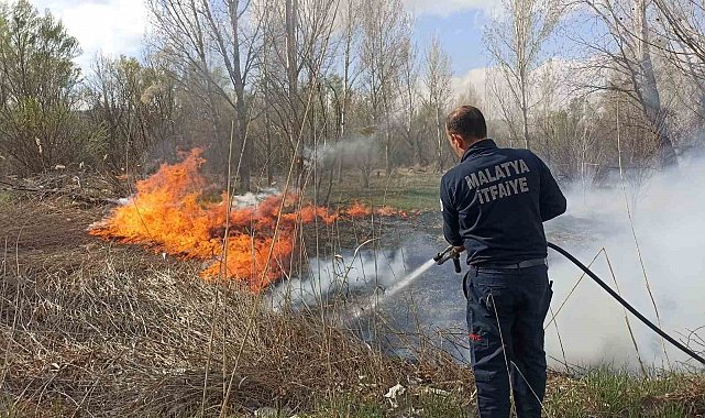 Malatya'da üç ayrı noktada bahçe ve sazlık yangını