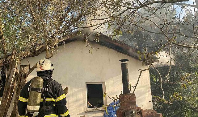 Mangal için yakılan barbekü çatı yangınına neden oldu