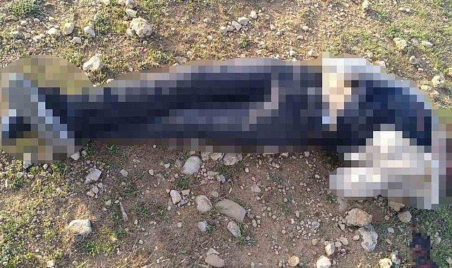 Mardin'de 1 kişi silahla vurulmuş halde bulundu