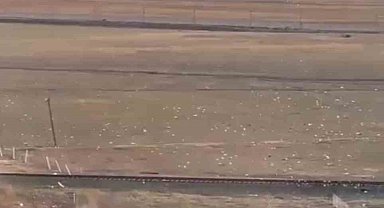 Mardin'de bulunan iki mayın imha edildi