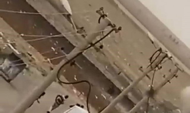 Mardin'de mayın imha edildi