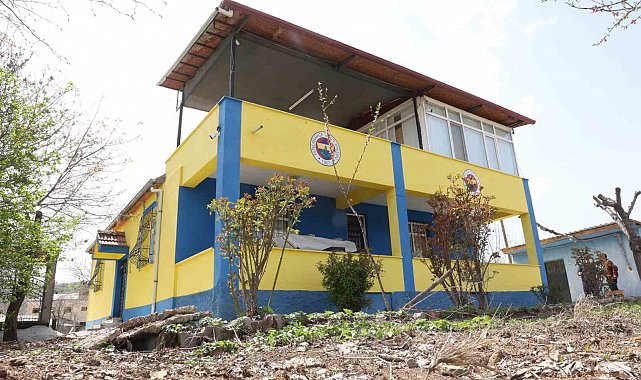 Mehmet dedenin sarı-lacivert evi gündem oldu