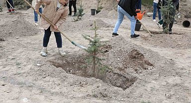 Melikgazi'nin yeşil dokusu güçleniyor