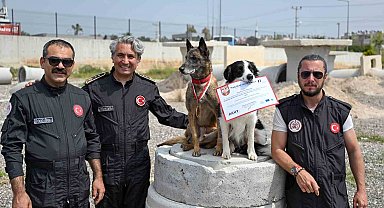 Mersin itfaiyesinin kahraman patileri Ares ve Rex'ten önemli başarı