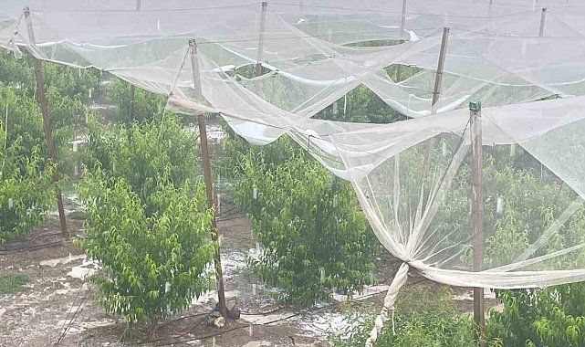 Mersin'de dolu ürünlere zarar verdi