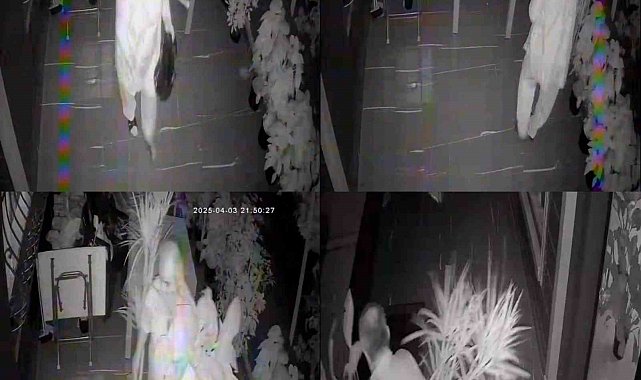 Mersin'de ilginç hırsızlık: Kadın beğendi erkek çaldı