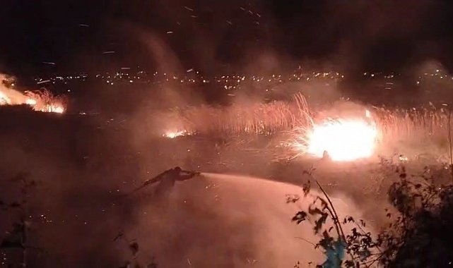 Mersin'de sazlık alanda çıkan yangın güçlükle söndürüldü