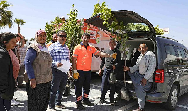 Mersin'de üreticilere Trabzon hurması fidanı dağıtılıyor