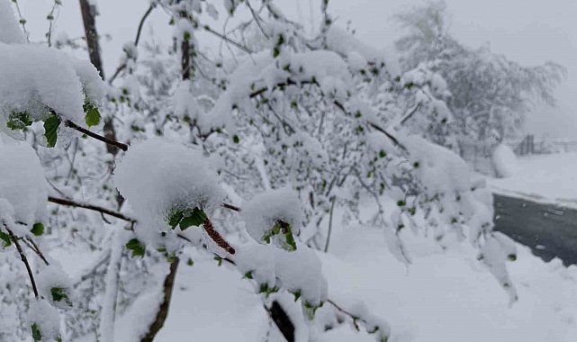 Meteorolojiden Ordu için 'sarı kodlu' uyarı