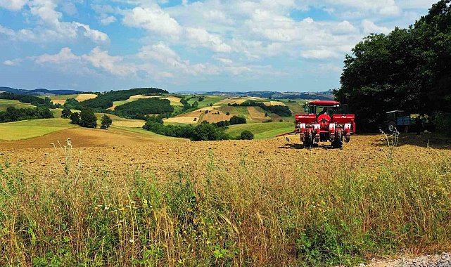 Meyve üreticilerine destek