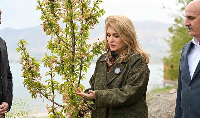 Milletvekili Ölmeztoprak: "Yaraları hep birlikte saracağız"