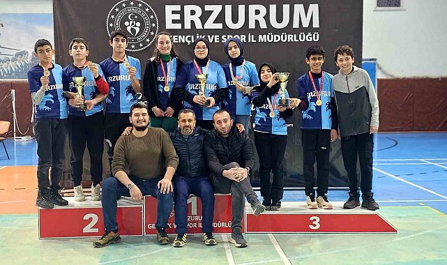 Mimar Sinan Ortaokulu Türkiye Şampiyonası biletini aldı