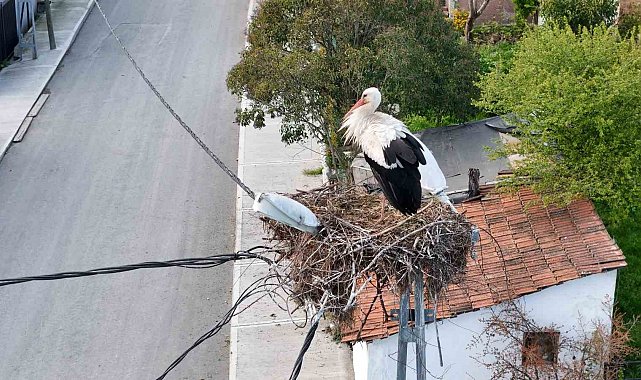 Misafirlerine kavuşan Leylekli köyü havadan görüntülendi