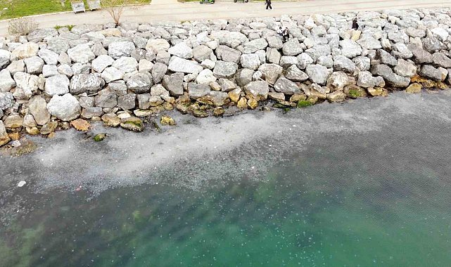 Moda Sahili'ni denizanası bastı: Dron ile böyle görüntülendi