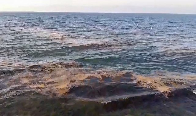 Mudanya sahilinde görülen müsilaj tedirgin etti