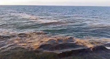 Mudanya sahilinde görülen müsilaj tedirgin etti