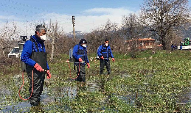 Muğla Büyükşehir'den vektörle mücadele