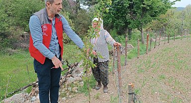 Muğla'da kapsamlı tarımsal takip