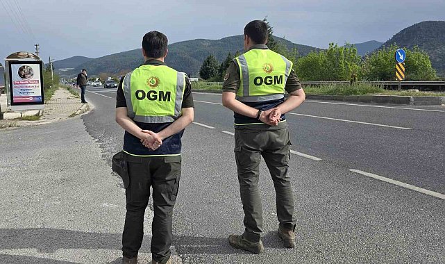 Muğla'da orman emvali kontrolleri sürüyor