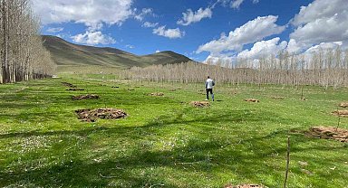 Muradiye'de meyvecilik gelişiyor