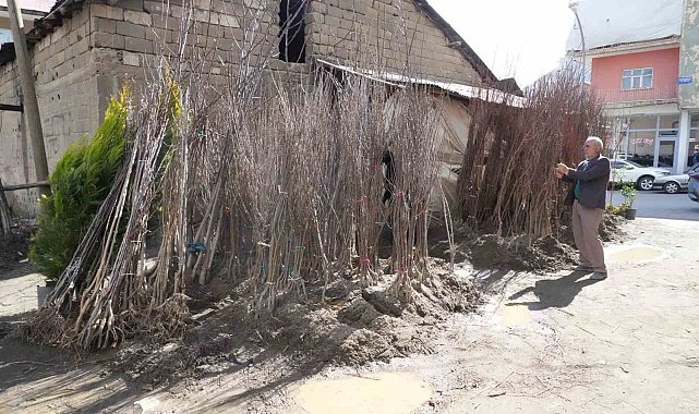 Muş'ta meyve fidanları satışa çıktı