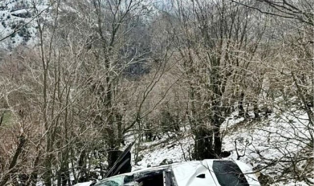 Muş'ta otomobil uçuruma yuvarlandı, 4 kişiyi ağaçlar kurtardı