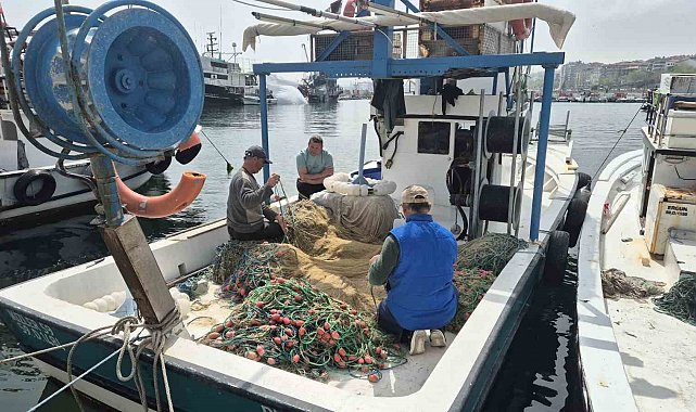 Müsilaj endişesi yeniden gündemde: "Balığın etine zararı yok"