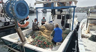 Müsilaj endişesi yeniden gündemde: "Balığın etine zararı yok"