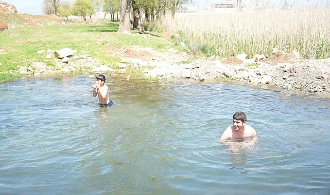 Muşlu çocuklar soğuğa aldırmadı: Titreye titreye gölette yüzdüler