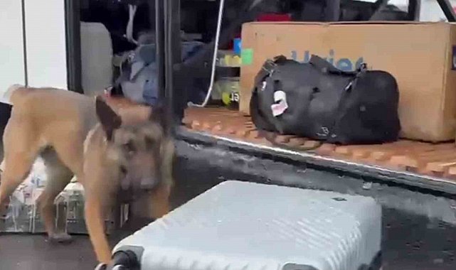 Narkotik madde arama köpeği HERA'dan kaçamadılar
