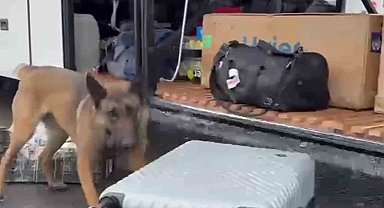 Narkotik madde arama köpeği HERA'dan kaçamadılar