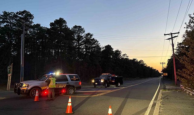 New Jersey'deki orman yangınında 13 bin 250 dönüm alan yandı