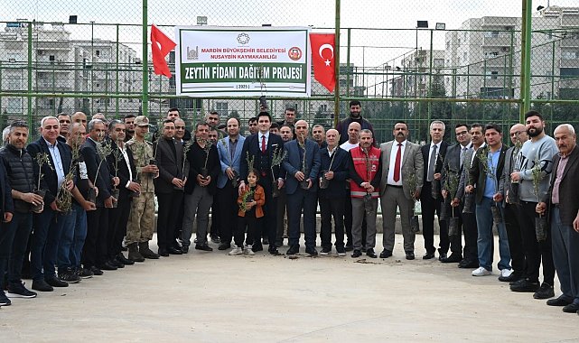 Nusaybinli çiftçilere 8 bin adet zeytin fidanı dağıtıldı