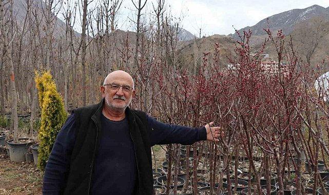 Ömrünü fidan üretimine adadı