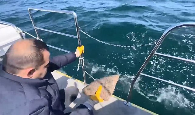 Ordu'da denizde serili kalkan ağına el konuldu