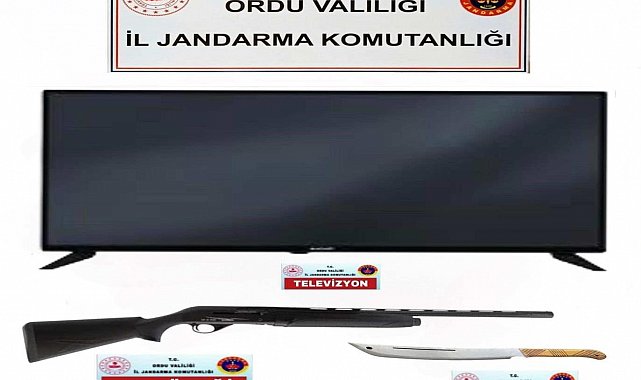 Ordu'da evden hırsızlık yapan 2 şüpheli yakalandı