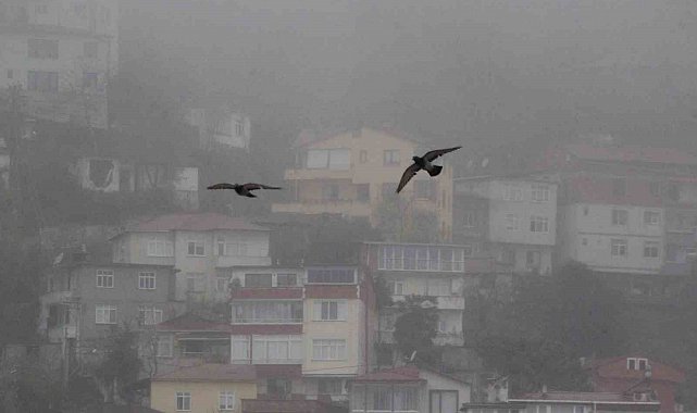 Ordu'da sis etkili oluyor