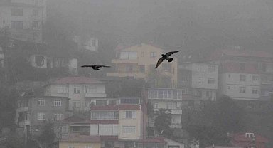 Ordu'da sis etkili oluyor