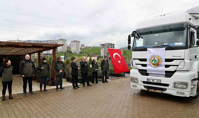 Ordu'dan Azerbaycan'a 3 tır orman fidanı gönderildi