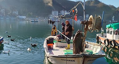 Ordulu balıkçıların ağına dev mezgit takıldı