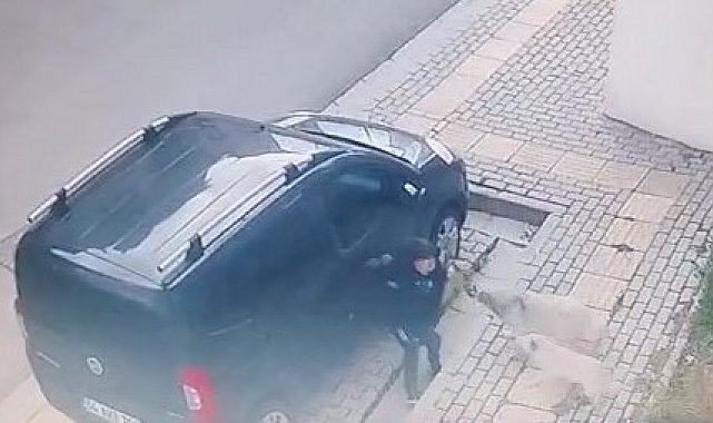 Orhangazi'de başıboş köpekler küçük çocuğa büyük korku yaşattı